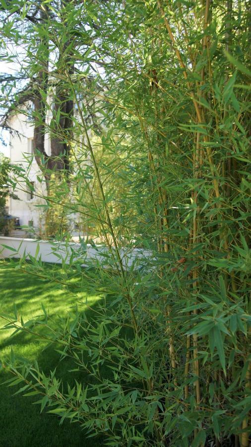 Hôtel de charme L'Orée du Parc Romans-sur-Isère Esterno foto